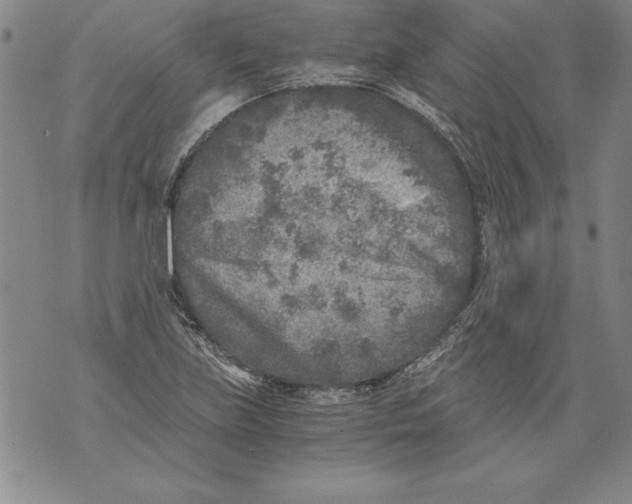 X0000076091219200610152310