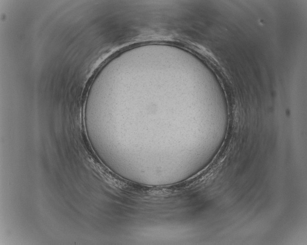 X0000076091220200610152310