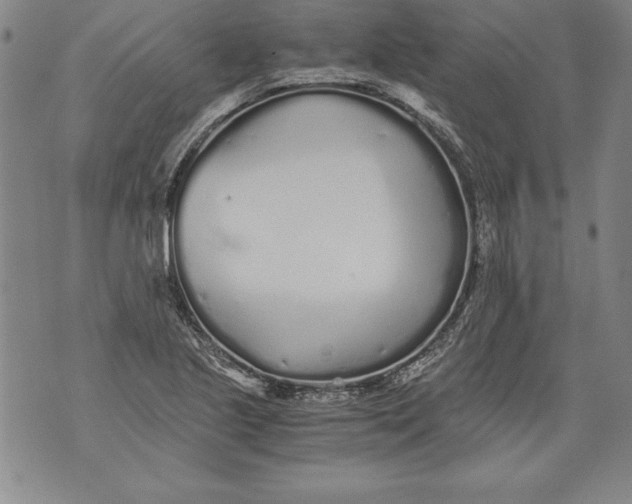 X0000076091221200610152310