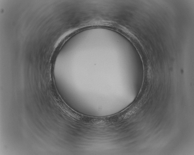 X0000076091222200610152310