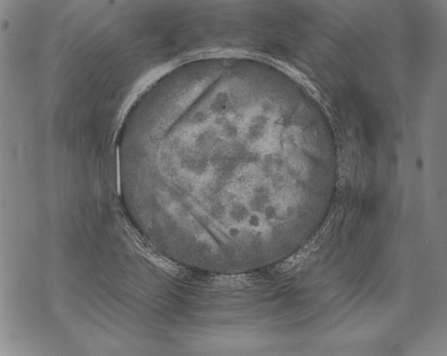 X0000076091223200610152310