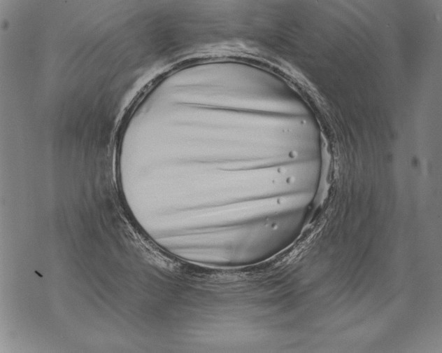 X0000076091224200610152310