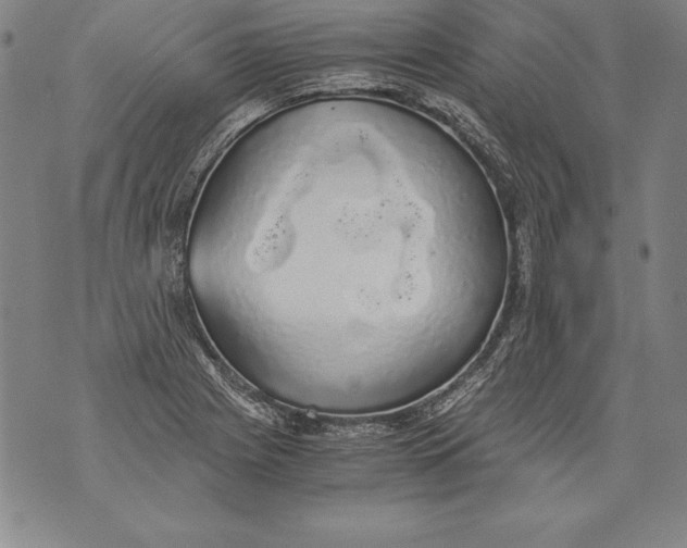 X0000076091225200610152310