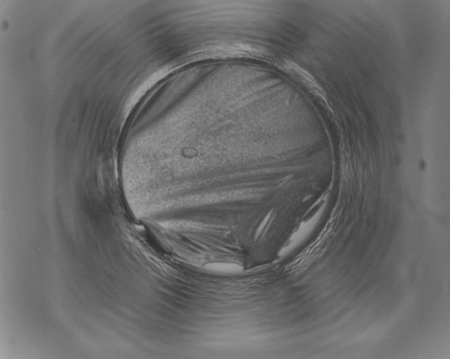 X0000076091226200610152310