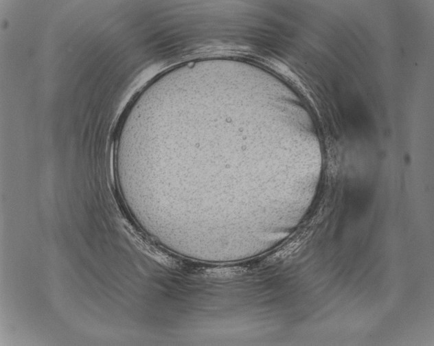 X0000076091227200610152310