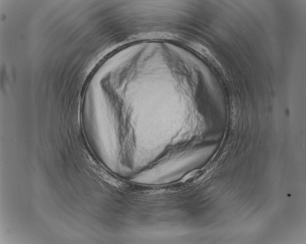 X0000076091228200610152310