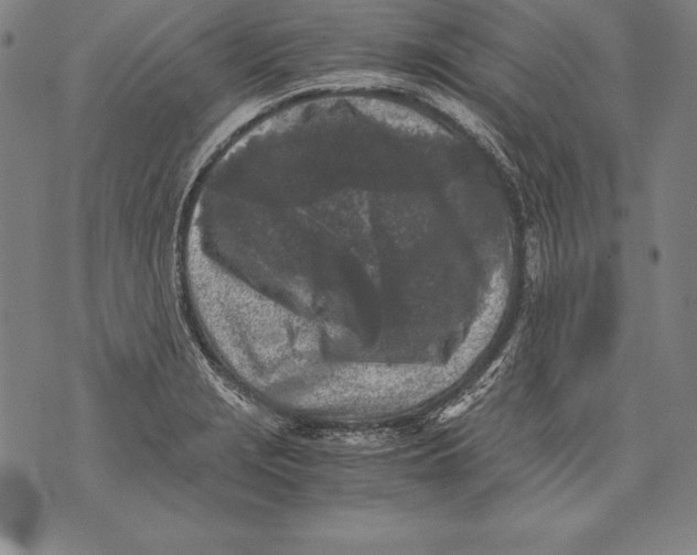 X0000076091229200610152310