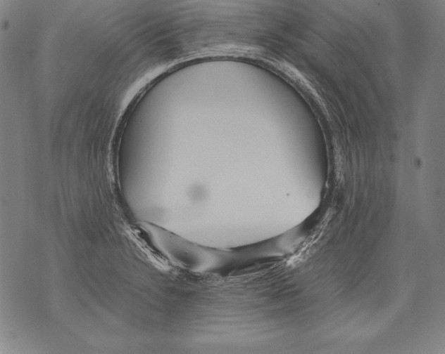 X0000076091230200610152310