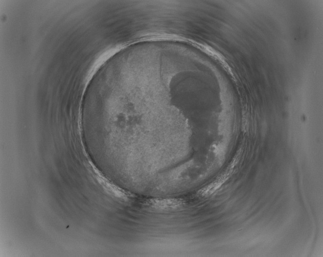 X0000076091231200610152310