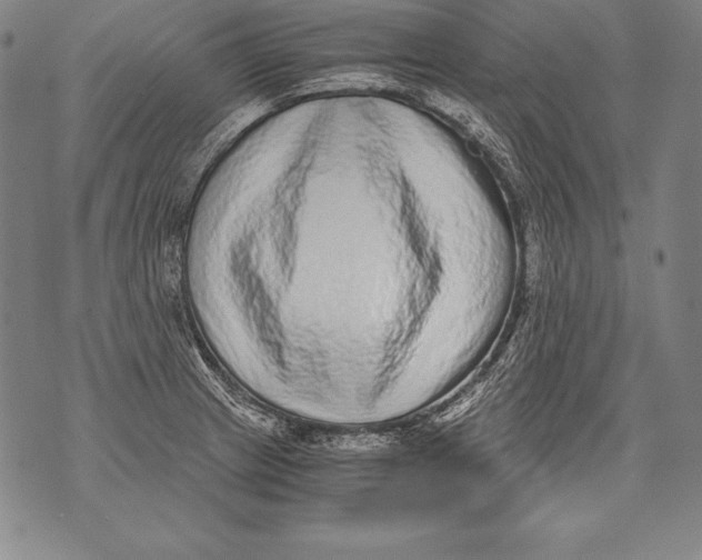 X0000076091233200610152310