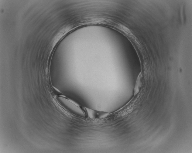 X0000076091234200610152310