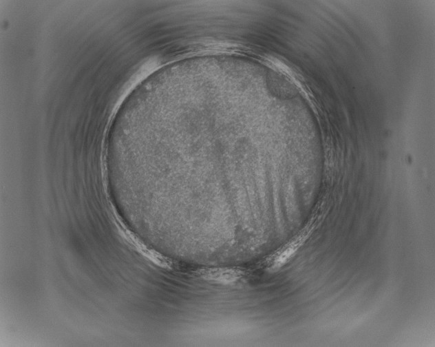 X0000076091235200610152310