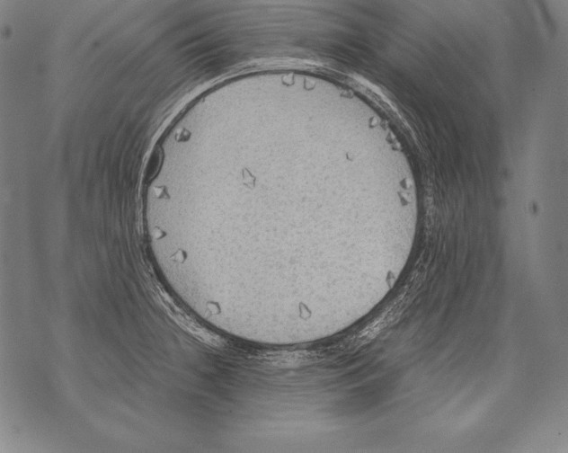 X0000076091236200610152310