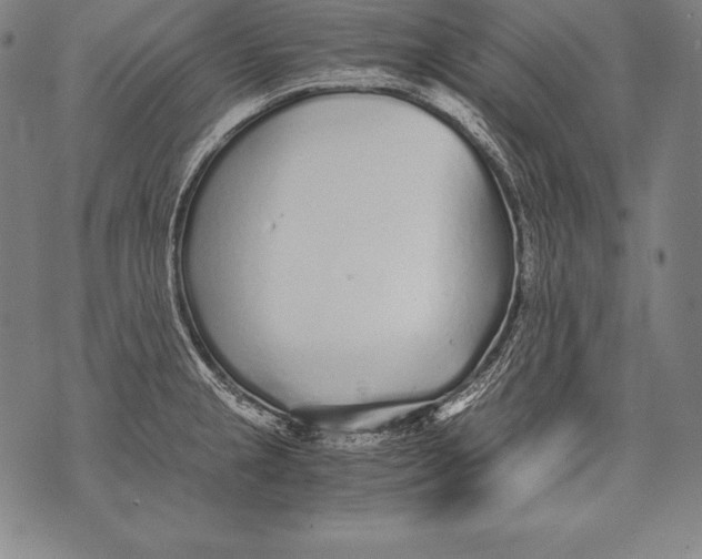 X0000076091237200610152310