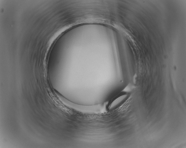 X0000076091238200610152310