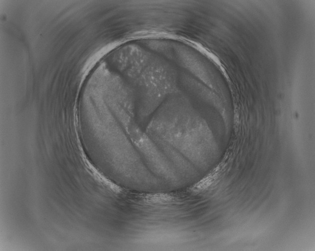 X0000076091239200610152310