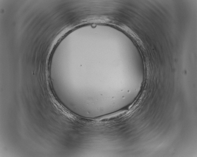 X0000076091240200610152310