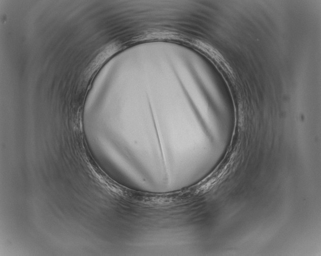 X0000076091241200610152310