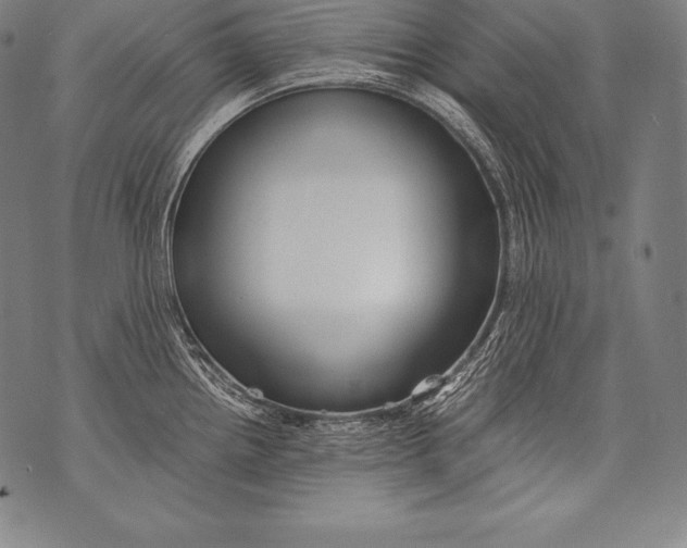 X0000076091242200610152310