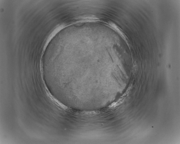 X0000076091243200610152310