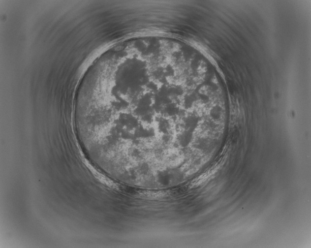 X0000076091245200610152310