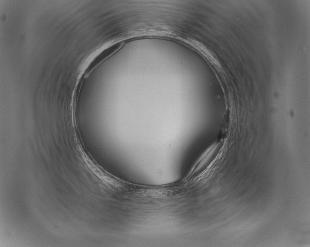 X0000076091246200610152310