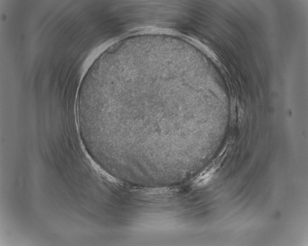 X0000076091247200610152310