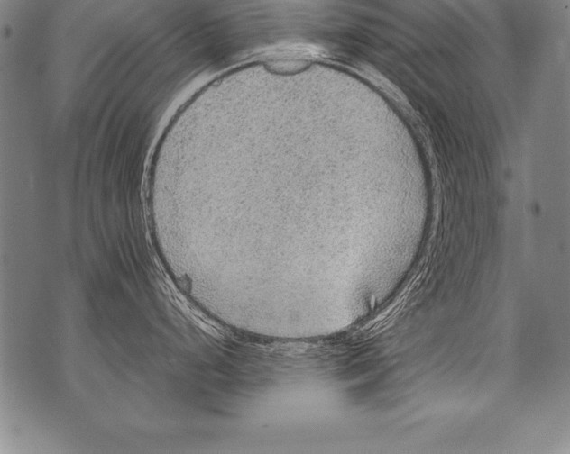 X0000076091248200610152310