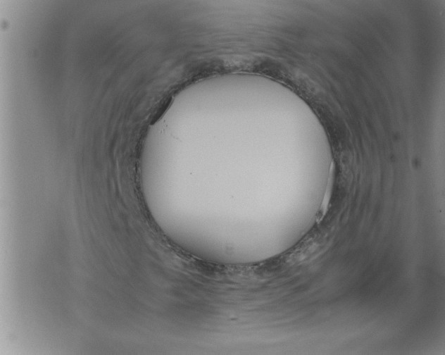 X0000076091249200610152310