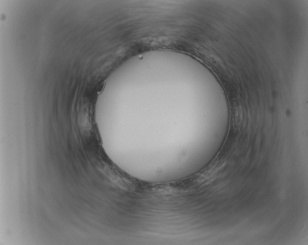 X0000076091250200610152310