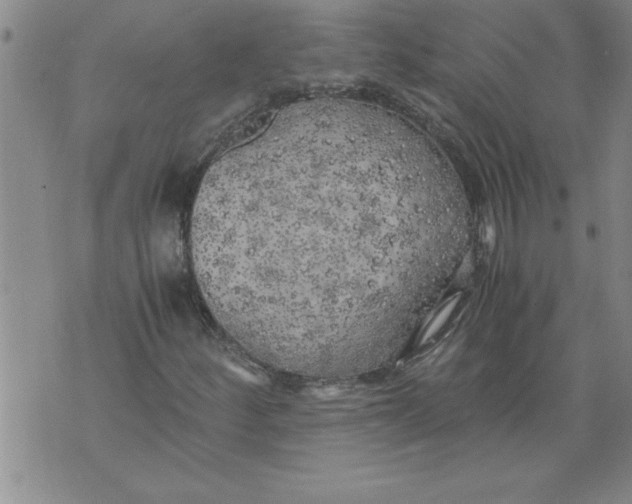 X0000076091252200610152310