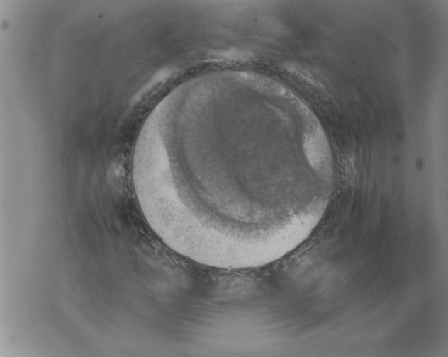 X0000076091254200610152310