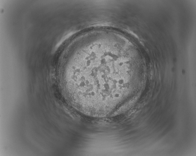 X0000076091255200610152309