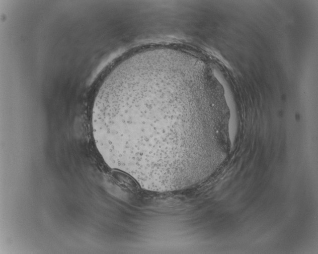 X0000076091256200610152309