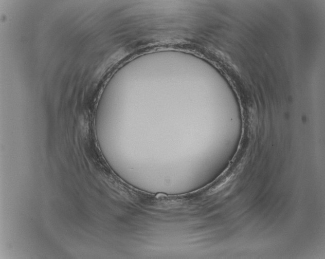 X0000076091257200610152309