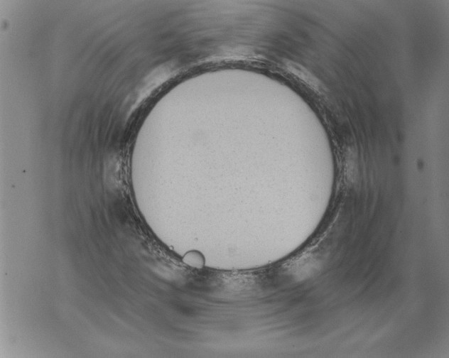 X0000076091258200610152309