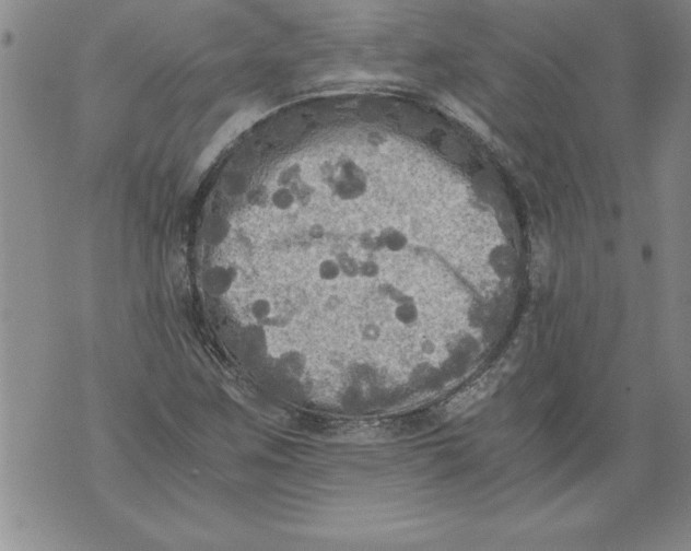 X0000076091259200610152309