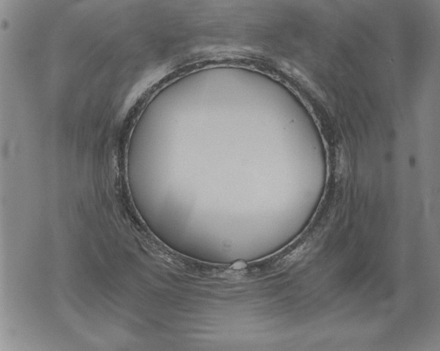 X0000076091261200610152309