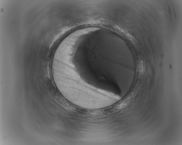 X0000076091262200610152309