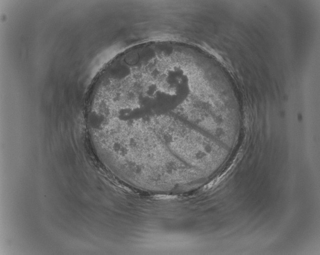 X0000076091263200610152309