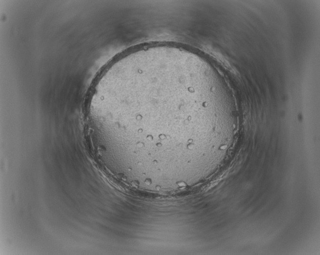 X0000076091264200610152309