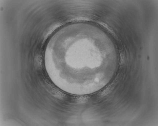 X0000076091266200610152309