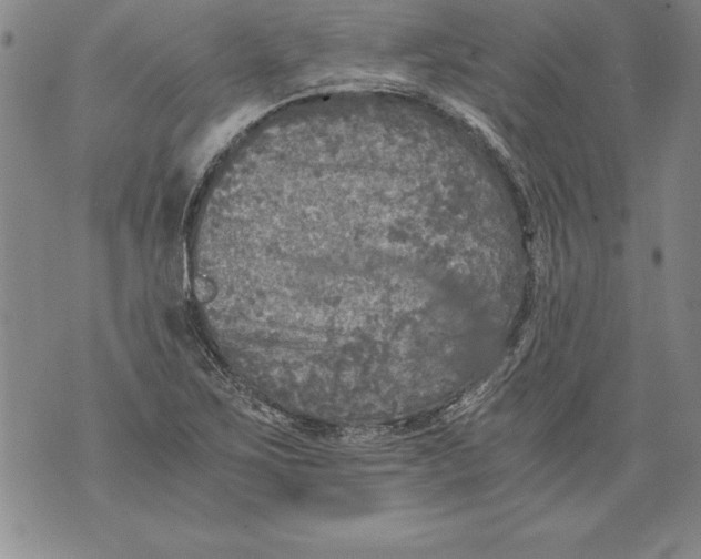 X0000076091267200610152309