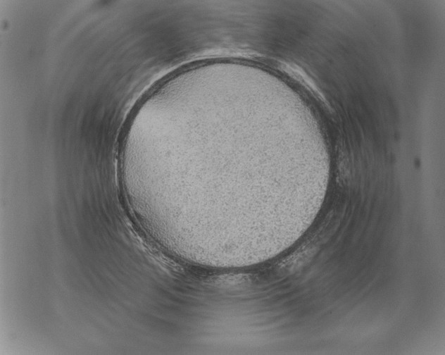 X0000076091268200610152309