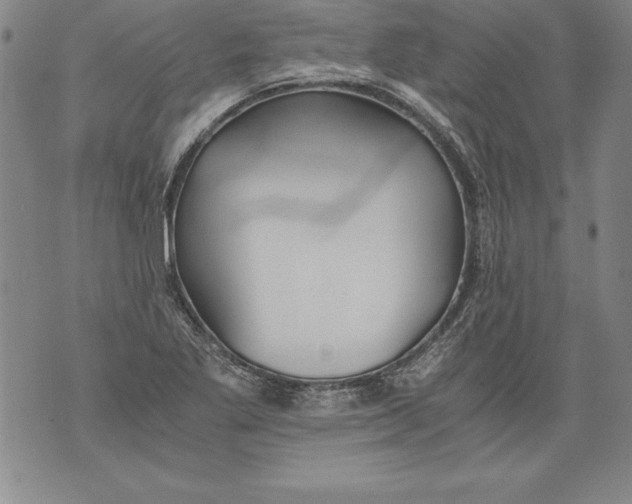 X0000076091269200610152309