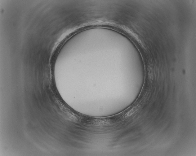 X0000076091270200610152309