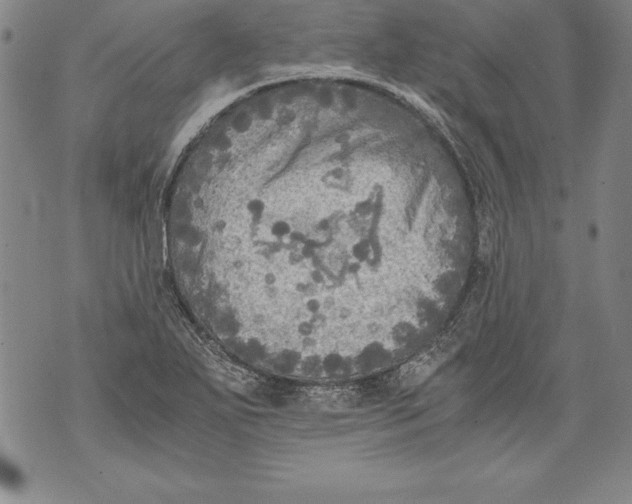 X0000076091271200610152309