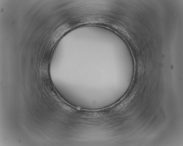 X0000076091273200610152309