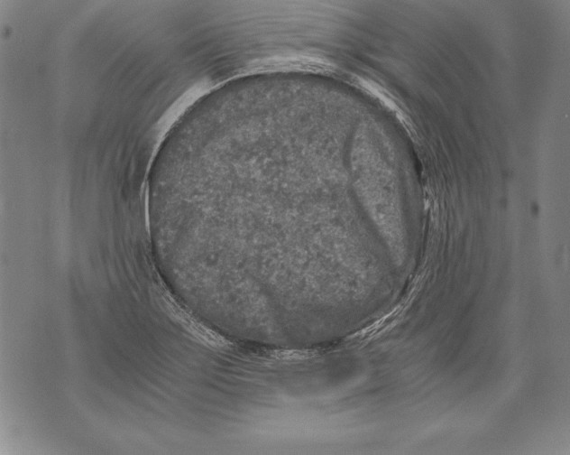 X0000076091275200610152309