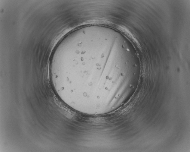 X0000076091276200610152309